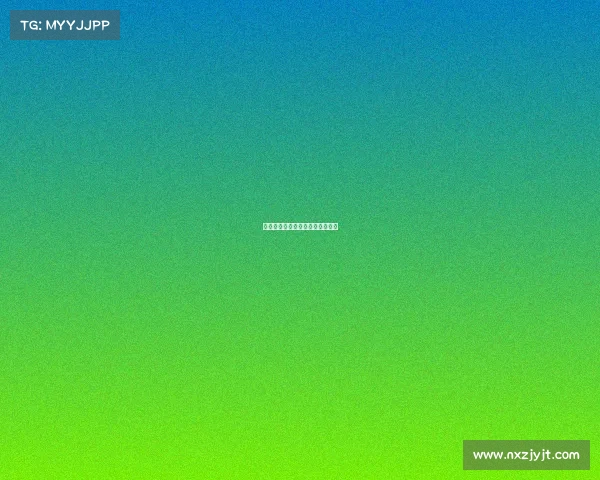 木野狐赛事、木野狐赛事城市联赛